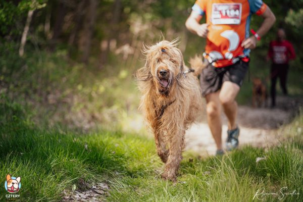 Hard Dog Race Dąbrowa Górnicza, 2022